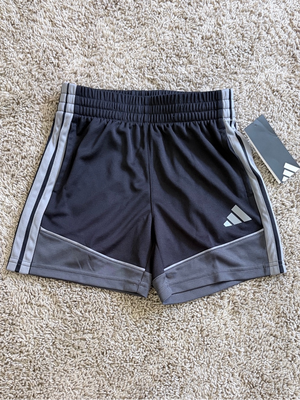NWT boys adidas Colorblock shorts